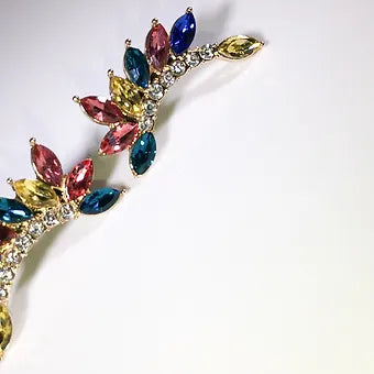RAINBOW WINGS